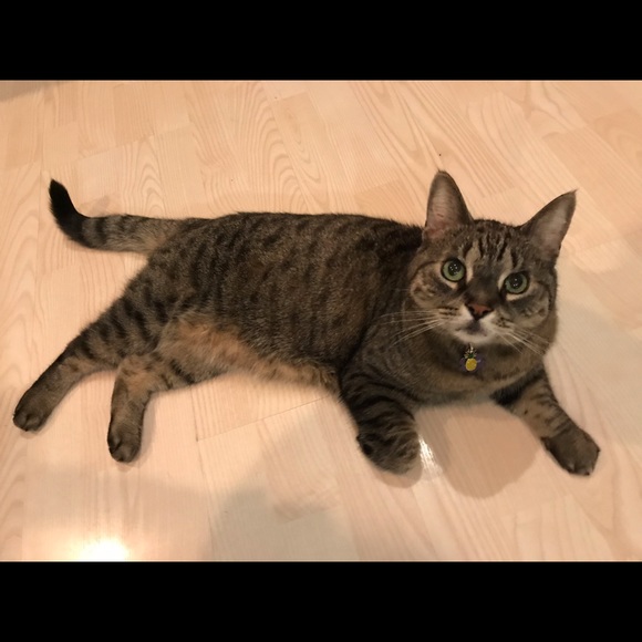 Meet your Posher, Amanda - Picture 1 of 1